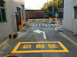 智慧停车 重构城市出行脉络