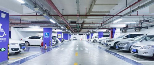 合肥机动车停车场建设管理实施细则 推动城市停车治理现代化